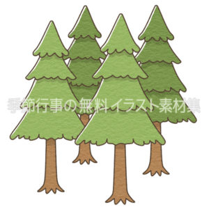 杉の木のイラスト（カラー版）