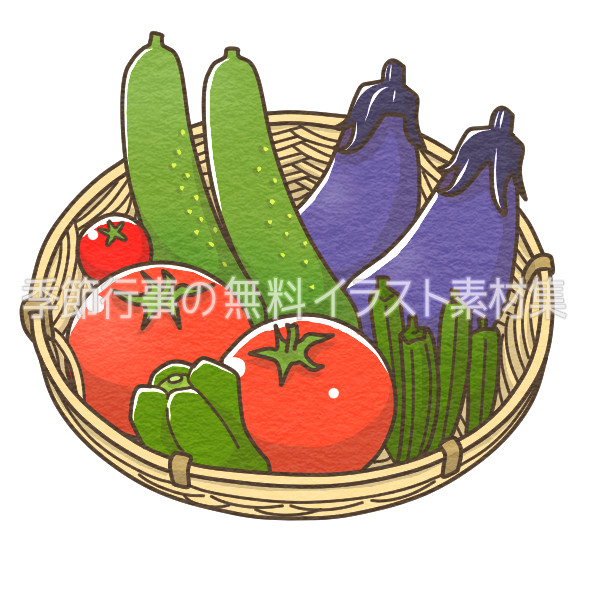 夏野菜のイラスト 季節行事の無料イラスト素材集